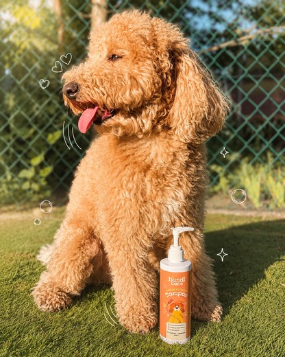 Kókusz & Papaya – 2 az 1-ben Kutyasampon és Kondicionáló (300 ml)
