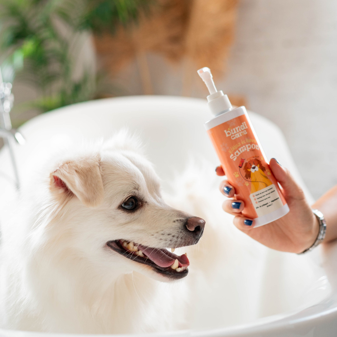 Kókusz & Papaya – 2 az 1-ben Kutyasampon és Kondicionáló (300 ml)