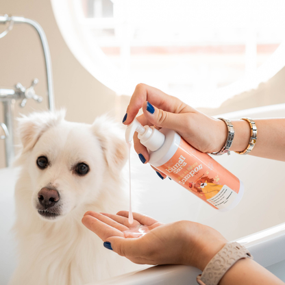 Kókusz & Papaya – 2 az 1-ben Kutyasampon és Kondicionáló (300 ml)