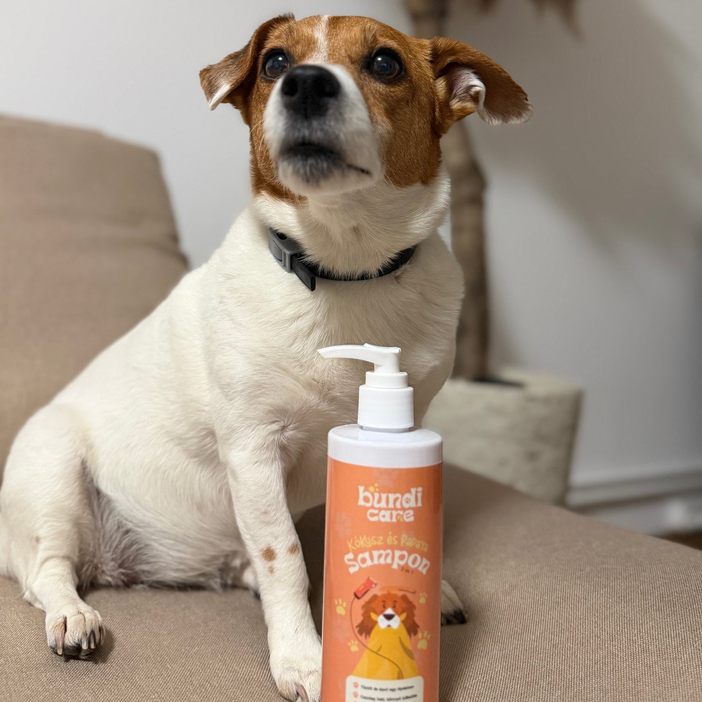 Kókusz & Papaya – 2 az 1-ben Kutyasampon és Kondicionáló (300 ml)