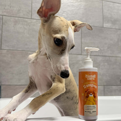 Kókusz & Papaya – 2 az 1-ben Kutyasampon és Kondicionáló (300 ml)